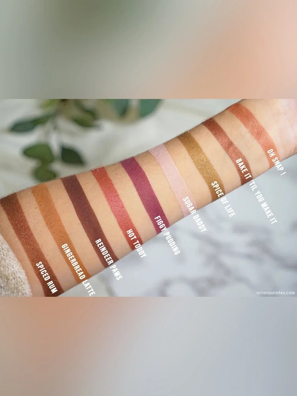 NIB Too Faced Gingerbread Spice Eyeshadow Palette